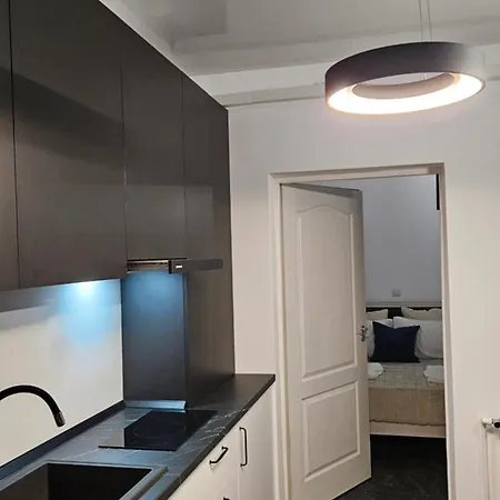 Chic, Rezerva Acum! Central, Cafea, Ceai, Apa, Parcare Publica Gratuita, Baie Cu Si Cada Apartment